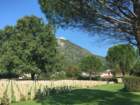 cassinoabbeyfromthebritishcemetery_small.jpg