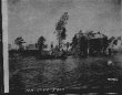 377810 Pontine Marshes
